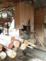 Ribuan Tual Kayu Disita dari 19 Shawmil di Suaka Margasatwa Rimbang Baling
