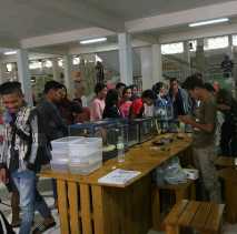 Retic Meriahkan Event WICSF 2017