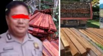 Ilegal Logging di Bangko Rohil Disorot, Dugaan Keterlibatan Oknum Polisi Jadi Ujian Komitmen Green Policing