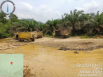 Komununitas Pecinta Alam Riau Minta Polda Riau Menindak Oknum Beking Aquari di Desa Sungai Sarik Kecamatan Kampar Kiri