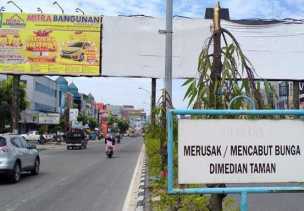 Tersangka Penebang 83 Pohon di Jalan Tuanku Tambusai Ganti Rugi 25 Kali Lipat
