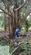 Petani Koppsa-M Sebut Upaya Hukum Banding Tidak Akan Terganggu Isu Dari Pihak Luar