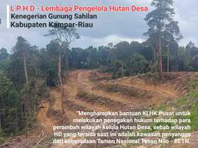 KNPI Riau Ajak Tim Gakkum LHK Pusat Perhatikan Hutan Desa di Gunung Sahilan Kampar