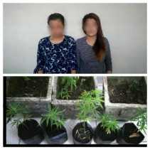 Grebek Rumah di Kampar, Ini yang Diamankan Polisi Bersama Dua Wanita Muda
