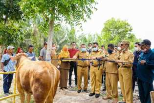 Tempat Masyarakat Membeli Daging Sehat yang Dijaminan Dinas Peternakan