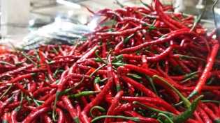 Harga Cabai di Pekanbaru Tembus Rp85.000/Kg