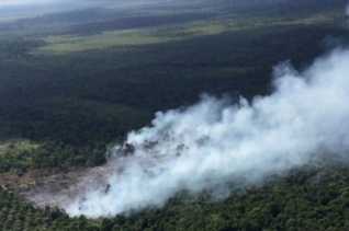 Ratusan Hotspot Terdeteksi di 11 Kabupaten/Kota di Riau