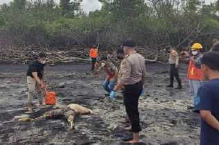 Mayat Tanpa Kepala Ditemukan di Pantai Bengkalis