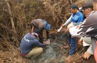 Diduga Pemicu Lahan Terbakar, Pencari Madu Lebah Ditangkap Polres Bengkalis