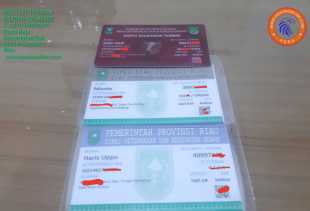 Tak Hanya Masyarakat, Akhir Tahun Nanti Sapi di Riau Punya Kartu Identitas