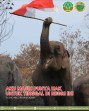 Gajah Angkat Merah Putih, Simbol Perlawanan Sunyi dari Tesso Nilo