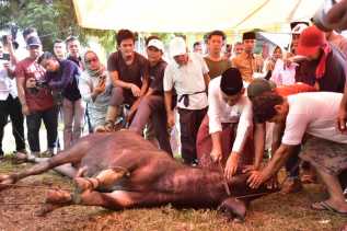 Pj Bupati Kampar dan Keluarga Berqurban di Masjid Ar Rahman Pandopo  sembelih langsung Hewan Qurban.