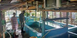 Pelda Budiman Sambangi Agen Ikan Air Tawar Di Desa Binaan