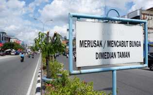 Laporan Dicabut, Pelaku Penebang Pohon Ternyata Bayar Rp 415 Juta