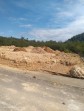 Mangrove Kawasan Mandeh Hancur, DLH Sumbar dan Camat Diduga Tutup Mata