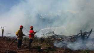Waduh, Kejati Riau kembalikan berkas perkara korporasi tersangka Karhutla