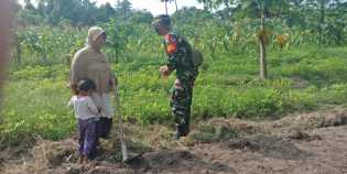 TMMD Ke 110 Kodim 0313/KPR,  Pelda Budiman Melakukan Komsos Dengan Petani Tumpang Sari