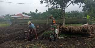 TMMD Ke 110 Kodim 0313/KPR, Babinsa Koramil 06/SH Bantu Petani Untuk Membuka Lahan Pertanian