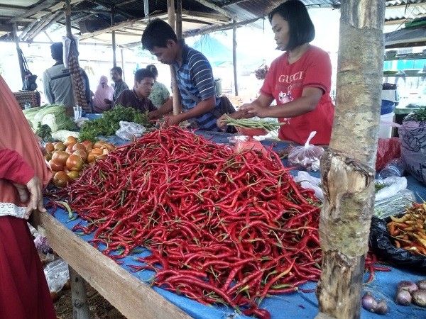Harga Cabai di Pekanbaru Mulai Turuni
