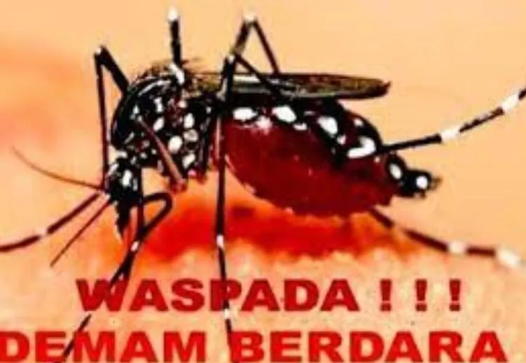 Dinas Kesehatan Provinsi Riau Gencarkan Gerakan 3 M cegah DBD Dinas Kesehatan Provinsi Riau Gencarkan Gerakan 3 M cegah DBDi