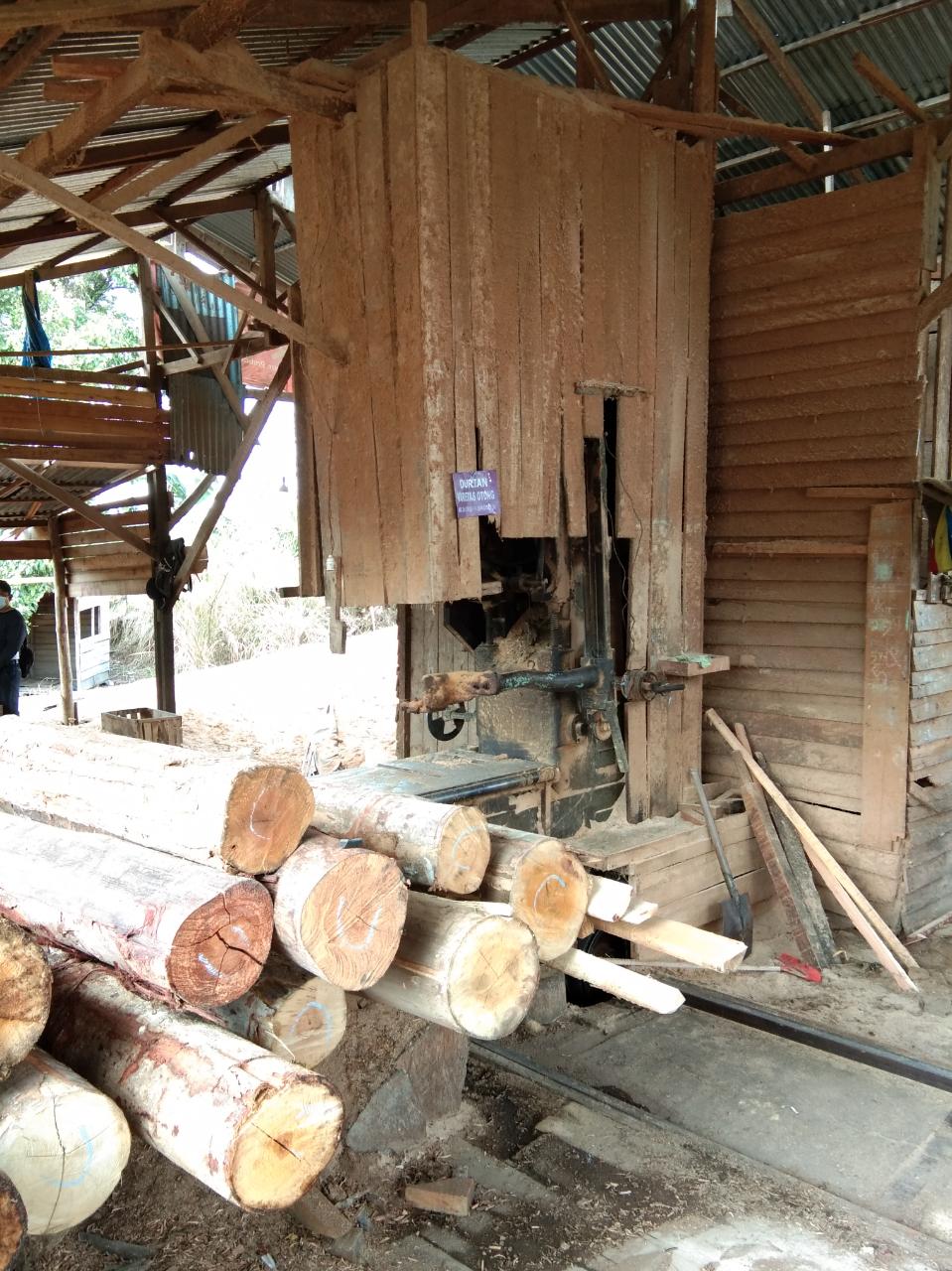 Ribuan Tual Kayu Disita dari 19 Shawmil di Suaka Margasatwa Rimbang Baling Ribuan Tual Kayu Disita dari 19 Shawmil di Suaka Margasatwa Rimbang Balingi