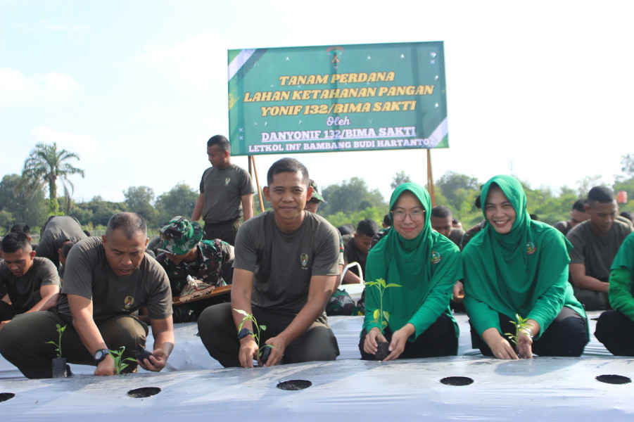 Danyonif 132/Bima Sakti Laksanakan Tanam Perdana Bibit Cabai di Lahan Ketahanan Pangan Yonif 132/BS Danyonif 132/Bima Sakti Laksanakan Tanam Perdana Bibit Cabai di Lahan Ketahanan Pangan Yonif 132/BSi