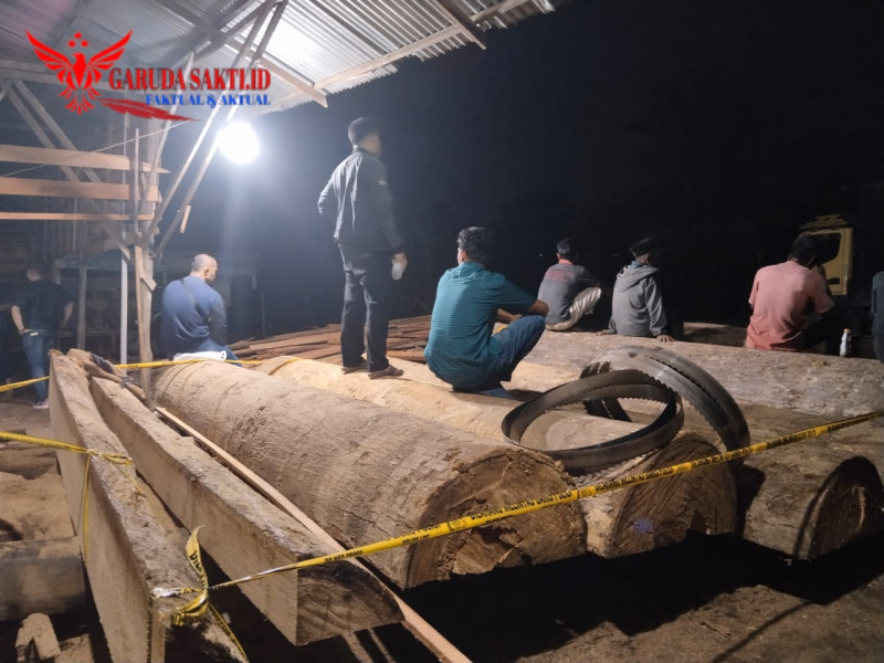 Polres Kampar Ungkap kasus illegal logging di Sawmill Terbesar diwilayah hukumnya Polres Kampar Ungkap kasus illegal logging di Sawmill Terbesar diwilayah hukumnyai