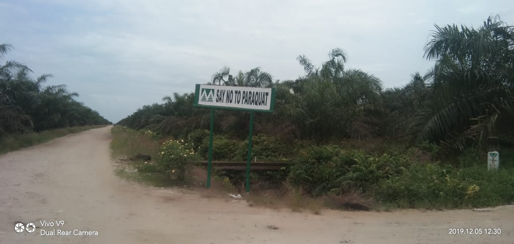 Kasus PT Musimas di Pelalawan, Perkampungan Warga Masuk HGU Kasus PT Musimas di Pelalawan, Perkampungan Warga Masuk HGUi