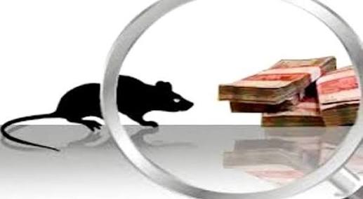 Diduga Ada Indikasi Korupsi Dana Liputan Porprov, DPD LIRA Minta Kejari Panggil Kadis Infokom Kampar Diduga Ada Indikasi Korupsi Dana Liputan Porprov, DPD LIRA Minta Kejari Panggil Kadis Infokom Kampari