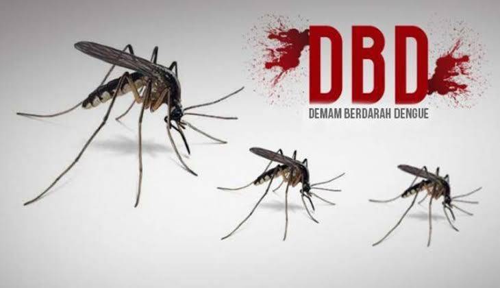 14 Orang di Riau Meninggal Dunia akibat Terjangkit DBD di Tahun 2023 14 Orang di Riau Meninggal Dunia akibat Terjangkit DBD di Tahun 2023i