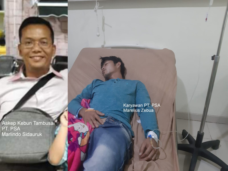 Parah, Askep PT. PSA Disebut Tendang Kemaluan Karyawan Hingga Pingsan Parah, Askep PT. PSA Disebut Tendang Kemaluan Karyawan Hingga Pingsani