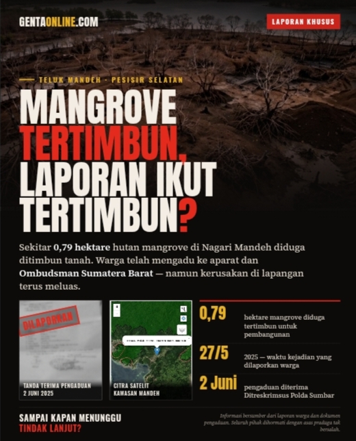 SETAHUN LEBIH DUGAAN KERUSAKAN MANGROVE MANDEH DISOROT, OMBUDSMAN SUMBAR DIMINTA BUKA KEJELASAN TINDAK LANJUT LAPORANi