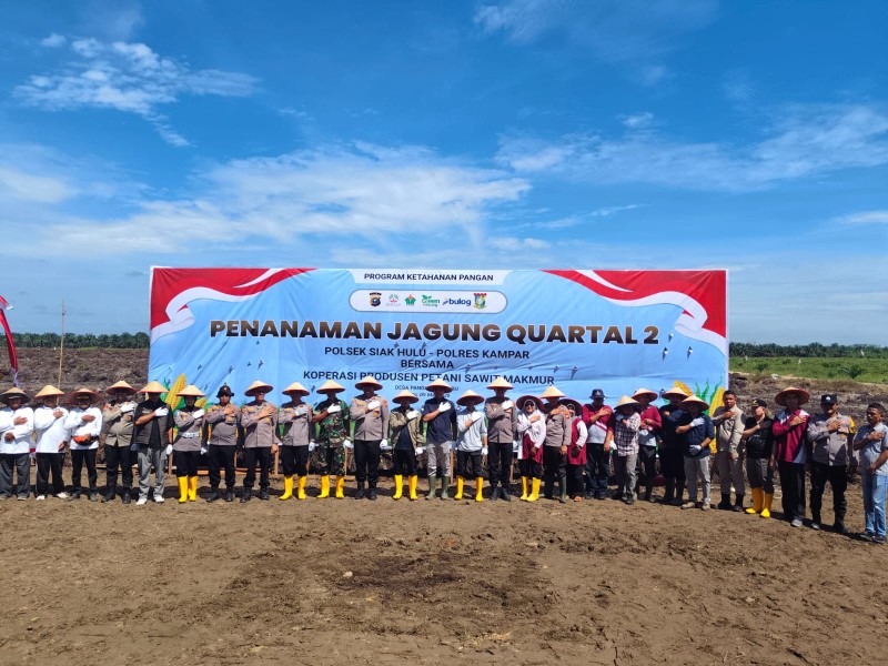  Kapolres Kampar Turun Langsung ke Lahan, Penanaman Jagung Kuartal II di Siak Hulu Penuh Semangat Kolaborasi  