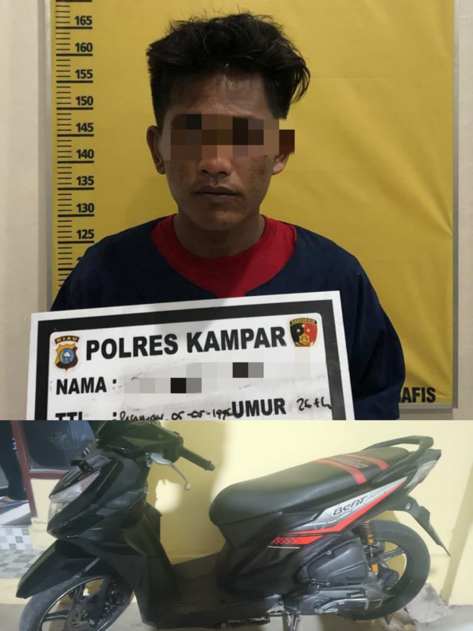 Cari Kayu Sepeda Motor Raib di Embat Maling. Pelaku Langsung di Ringkus Satreskrim Polres Kampar Cari Kayu Sepeda Motor Raib di Embat Maling. Pelaku Langsung di Ringkus Satreskrim Polres Kampari