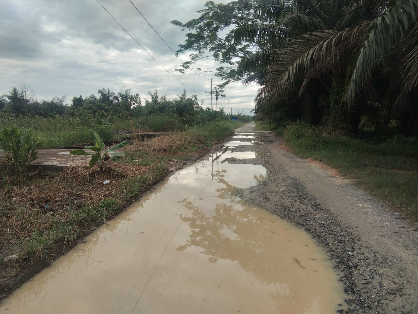 Keluh Kesah Masyarakat Dengan Kondisi Jalan Menuju Simpang Samad Sangat Memperihatinkan, Bupati Mana Keluh Kesah Masyarakat Dengan Kondisi Jalan Menuju Simpang Samad Sangat Memperihatinkan, Bupati Manai