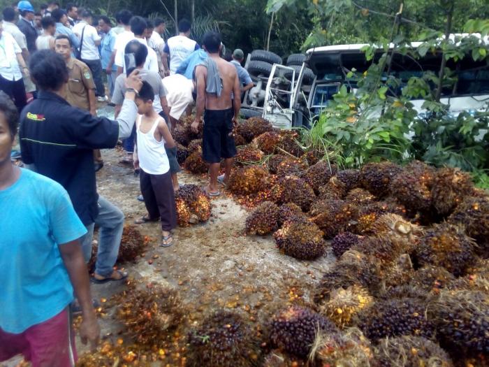 Tragis 10 Buruh Sawit di Pelalawan Tewas Digilas Bus, ini Penyebabnya Tragis 10 Buruh Sawit di Pelalawan Tewas Digilas Bus, ini Penyebabnyai