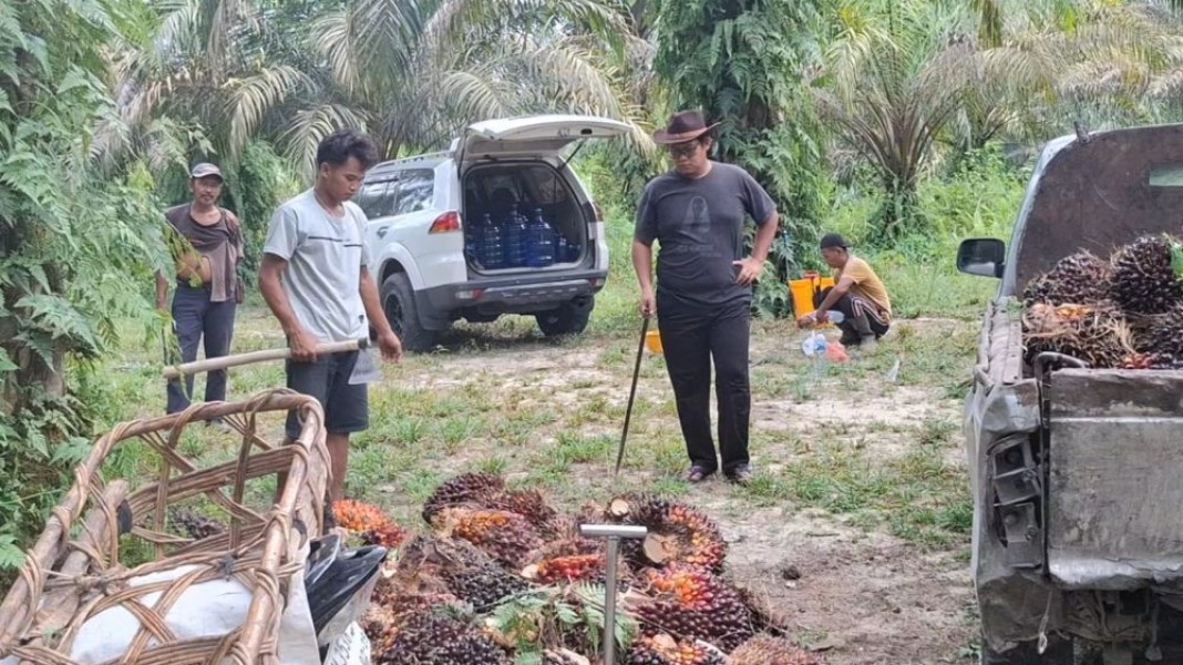  PSR 2026 Riau Ditarget 11.600 Hektare, Petani Dapat Bantuan Rp60 Juta per Hektare  