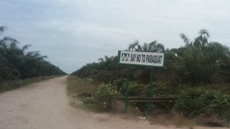 Dugaan Kasus PT. Musim Mas Perkampungan Masuk Dalam HGU di Pelalawan, Warga Minta Dilepaskan Dugaan Kasus PT. Musim Mas Perkampungan Masuk Dalam HGU di Pelalawan, Warga Minta Dilepaskani
