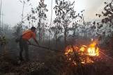 Karhutla Mengancam Riau, Selain Puluhan Hotspot Titik Api Juga Mulai Terdeteksi Karhutla Mengancam Riau, Selain Puluhan Hotspot Titik Api Juga Mulai Terdeteksii