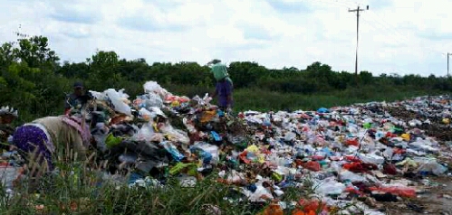 Sampah Menumpuk di Pangkalan Kerinci, Dewan Minta DLH Tanggap Dalam Penyelesaian Sampah Menumpuk di Pangkalan Kerinci, Dewan Minta DLH Tanggap Dalam Penyelesaiani