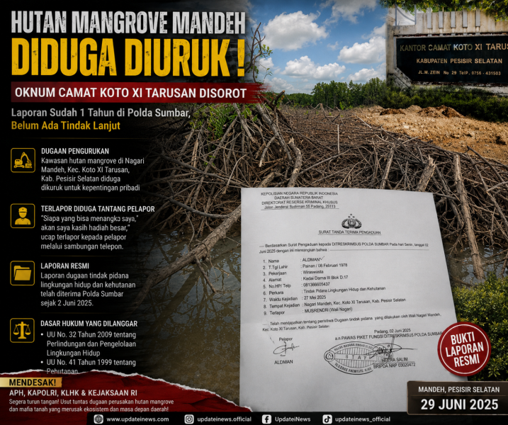 Perusakan Kawasan Mangrove Kawasan Hutan Lindung  Diduga Melanggar  Hukum
