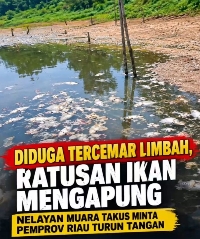 Keluhan Limbah Nelayan Muara Takus Mencuat, Humas PT Padasa Utama Kampar Belum Beri Tanggapani