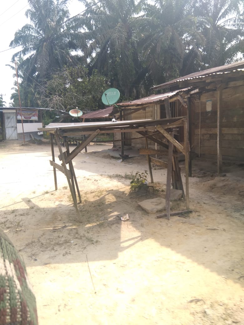 Hutan di Kampar Beralih Jadi Kebun Sawit, Satgas Penertiban Kawasan Hutan Diminta Bertindak Hutan di Kampar Beralih Jadi Kebun Sawit, Satgas Penertiban Kawasan Hutan Diminta Bertindaki