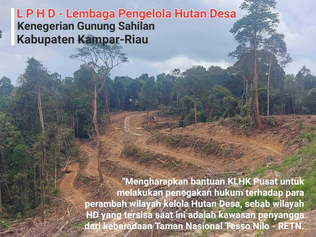 KNPI Riau Ajak Tim Gakkum LHK Pusat Perhatikan Hutan Desa di Gunung Sahilan Kampar KNPI Riau Ajak Tim Gakkum LHK Pusat Perhatikan Hutan Desa di Gunung Sahilan Kampari