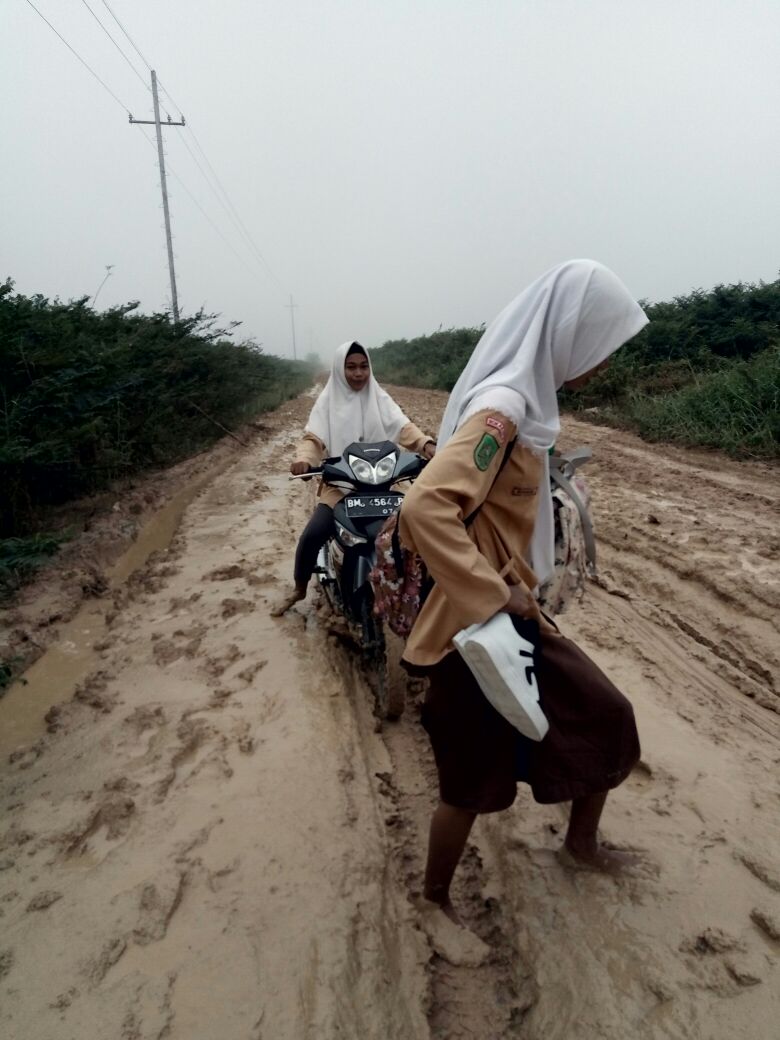 Ruas Jalan di Rohil Rusak Parah, Lumpuhkan Aktivitas Warga