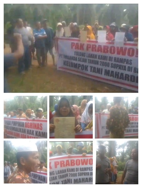 KOPTAN MAHADIKA MOHON PRESIDEN PRABOWO, Kembalikan Lahan Mereka Yang Digarap PT Torgandai