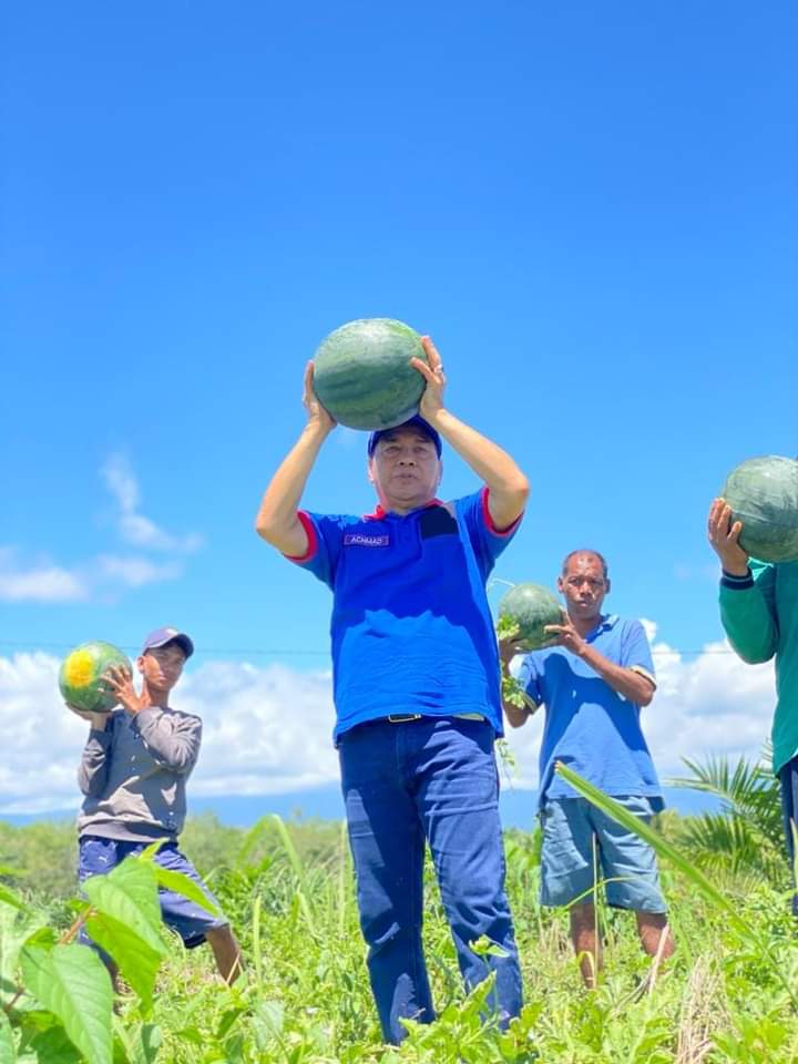 Petani Binaan Demokrat Riau Panen Raya Kacang dan Semangka, Achmad: Mari Bertani Bantu Keluarga Petani Binaan Demokrat Riau Panen Raya Kacang dan Semangka, Achmad: Mari Bertani Bantu Keluargai