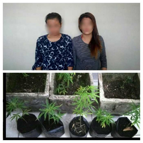 Grebek Rumah di Kampar, Ini yang Diamankan Polisi Bersama Dua Wanita Muda Grebek Rumah di Kampar, Ini yang Diamankan Polisi Bersama Dua Wanita Mudai