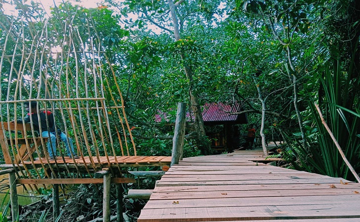 Desa Okura Hadirkan Wisata Hutan Mangrove Desa Okura Hadirkan Wisata Hutan Mangrovei