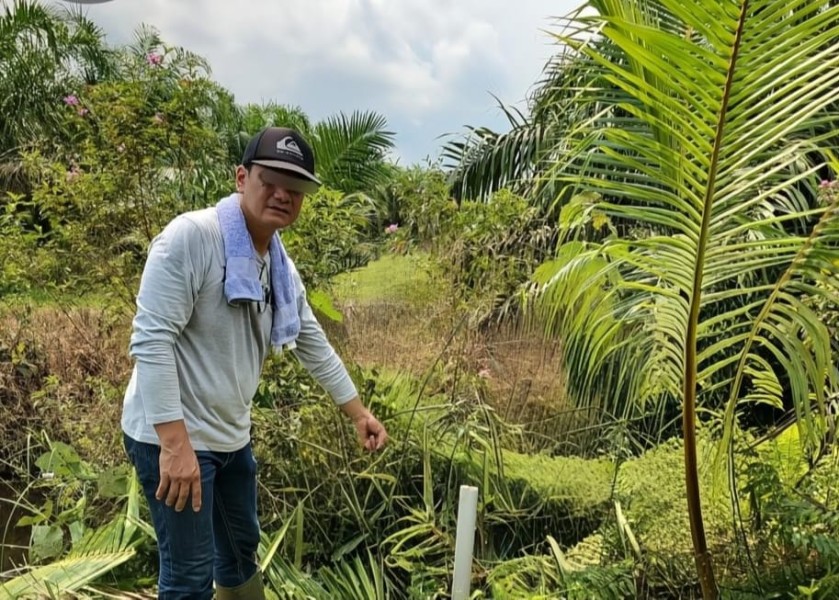 Polda Riau Terima Laporan Polisi Dugaan Tindak Pidana Penggelapan Oleh Aan Kenari Atas Kebun Kelapa Sawit di Rawang Air Putih, Siak Polda Riau Terima Laporan Polisi Dugaan Tindak Pidana Penggelapan Oleh Aan Kenari Atas Kebun Kelapa Sawit di Rawang Air Putih, Siaki